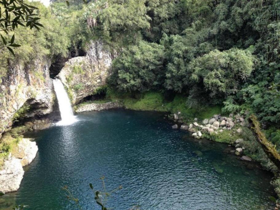 Villa Du Beau Vallon 2 Jacuzzi Privatif Et Piscine Chauffee Partagee Saint-Benoît Zewnętrze zdjęcie